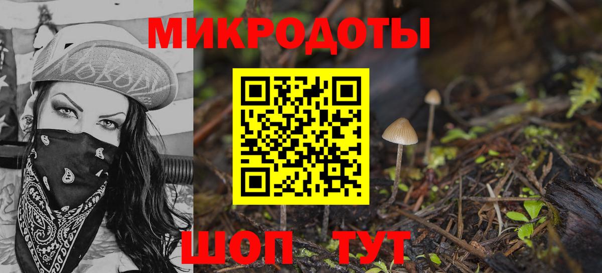 Галлюциногенные грибы Magic Shrooms Кинель